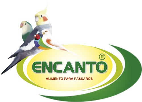 Produtos Encanto