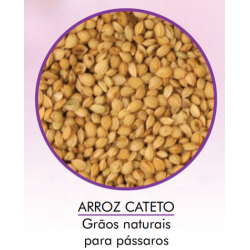 Arroz Cateto 05 KG - Encanto 